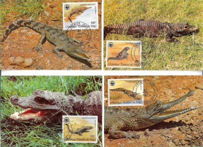 C4779 - carte maxima Congo 1987 foto