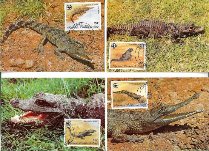 C4779 - carte maxima Congo 1987