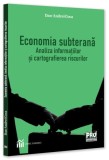 Economia subterană - Paperback brosat - Pro Universitaria