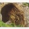 RF51 -Carte Postala- Intrare Pestera Meziad, Apuseni, circulata 1968
