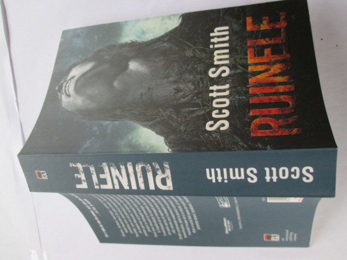 Scott Smith - Ruinele