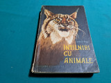 &Icirc;NT&Acirc;LNIRI CU ANIMALE / IONEL POP / 1960 *