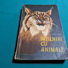 ÎNTÂLNIRI CU ANIMALE / IONEL POP / 1960 *