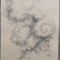 Forme fantastice// penita pe hartie, Horst Zay (artist sibian)