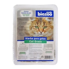 Iarba pisicii caserola, 100g, Biozoo