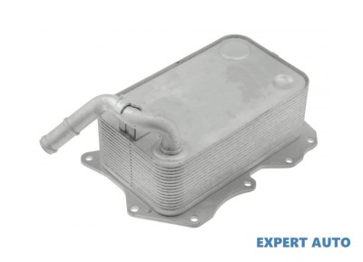 Radiator ulei Porsche Cayenne (2010-&amp;gt;)[92A] #1 foto