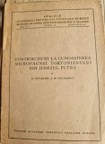 R. Ciocardel, M. Tocorjescu - Contributiuni la cunoasterea Microfaunei Tortonianului din Judetul Putna