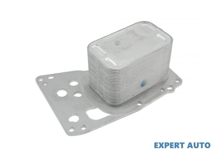 Termoflot BMW X6 (2008->) [E71, E72] #1