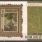 ARABIA DE SUD (SEIYUN) 1967 PICTURA P. GAUGUIN ( colita dantelata ) MNH