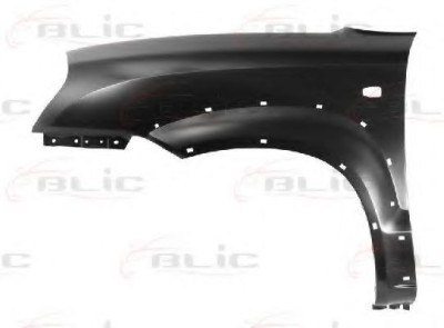 Aripa fata HYUNDAI TUCSON (JM) (2004 - 2010) BLIC 6504-04-3175315P foto