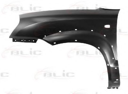 Aripa fata HYUNDAI TUCSON (JM) (2004 - 2010) BLIC 6504-04-3175315P