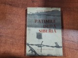 Patimile dupa Siberia de Stefan Moldovan