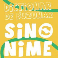 Dictionar de buzunar: Sinonime - Aurelia Barbulescu, Magdalena Coman
