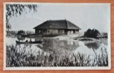 CARTE POSTALA/ RPR/ DELTA DUNARII/ CABANA PESCAREASCA
