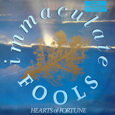 VINIL Immaculate Fools &amp;ndash; Hearts Of Fortune ( -VG) foto