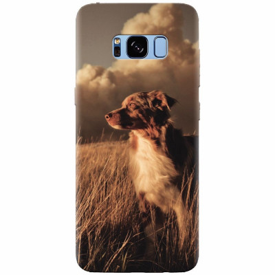 Husa silicon pentru Samsung S8, Alone Dog Animal In Grass foto