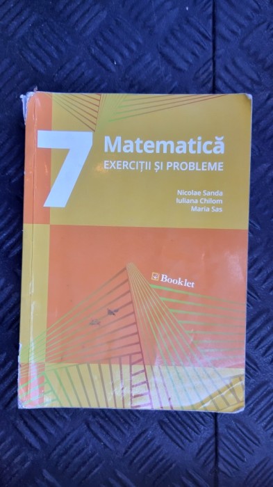 MATEMATICA EXERCITII SI PROBLEME CLASA A VII A - SANDA ,CHILOM ,SAS