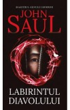 Labirintul diavolului - John Saul - Editura Rao