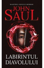 Labirintul diavolului - John Saul - Rao