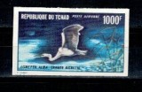 Tchad 1971 - Egreta, păsări, nedantelata, P.A. neuzata