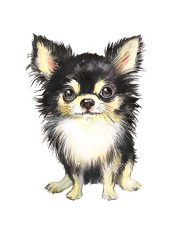 Sticker decorativ Catelus, Negru, 76 cm, 5735ST foto