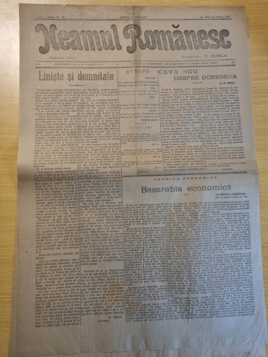 neamul romanesc 20 februarie 1918-art.basarabia,dobrogea,primul razboi,n.iorga