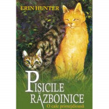 Pisici Razboinice 5 - O cale primejdioasa - Hunter Erin, ALL