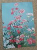 C9 2 - 1980 - Calendar de buzunar - reclama Editura Ceres