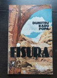 Fisura. Proză scurtă - Dumitru Radu Popa