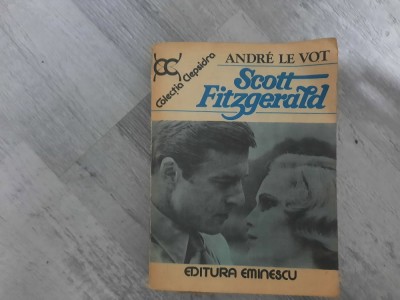 Scott Fitzgerald de Andre le Vot foto