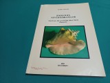 ZOOLOGIA NEVERTEBRATELOR *MANUAL DE LUCRĂRI PRACTICE /FLORIN AIOANEI * 2003 * 45