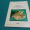 ZOOLOGIA NEVERTEBRATELOR *MANUAL DE LUCRĂRI PRACTICE /FLORIN AIOANEI * 2003 * 45
