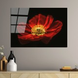 Cumpara ieftin Tablou din sticlă temperată UV Multicolor 70x100 cm