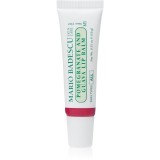 Mario Badescu Pomegranate and Guava Lip Balm Balsam de buze hidratant 10 g