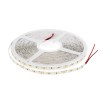LEDStrf2835W5000-5500k 5m 600x2835 alb rece IP54