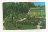 RF144 - Carte Postala - Cluj. Gradina botanica, circulata 1966
