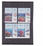 ROMANIA 2024 - CORALI, tabs, MNH - LP 2487