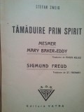 Stefan Zweig - Tamaduire prin spirit