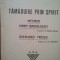 Stefan Zweig - Tamaduire prin spirit