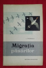 Migratia pasarilor / L. Rudescu foto