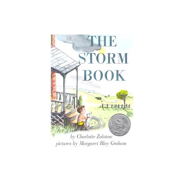 The Storm Book