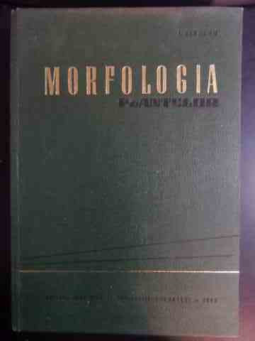 Morfologia Plantelor - I. Ciobanu ,542234