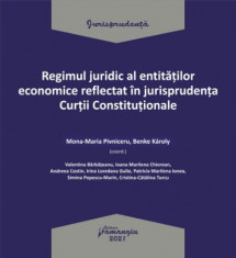 Regimul juridic al entitatilor economice reflectat in jurisprudenta Curtii Constitutionale - Mona-Maria Pivniceru, Benke Karoly, Valentina Barbateanu foto