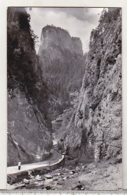 bnk cp Aspect din Cheile Bicazului - Vedere - necirculata foto