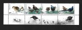 china pasari mnh