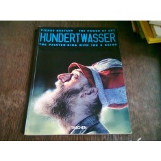 HUNDERT WASSER THE PAINTER KING WITH THE 5 SKINS - PIERRE RESTANY (REGELE IMAGINII)