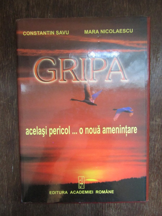 GRIPA , ACELASI PERICOL ... O NOUA AMENINTARE , 2006