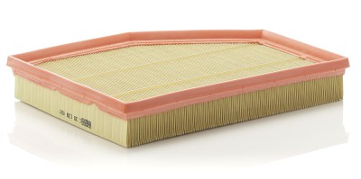 MANN-FILTER C 30 139 Filtru aer foto