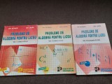 ION PETRICA PROBLEME DE ALGEBRA PENTRU LICEU ION PETRICA-3 VOLUME