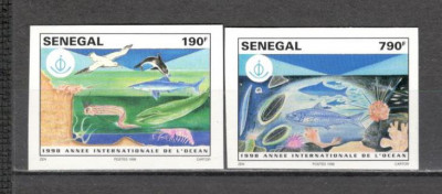 Senegal.1998 Anul international al oceanului-Fauna marina nedantelate MS.199.8 foto